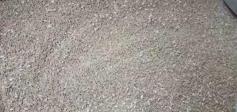 【精】新小麦产地直发，农户种植质优价廉，常年供货，无发霉