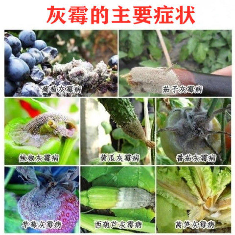 35%异菌腐霉利含量灰霉病菌核病杀菌剂禾宜产品原厂原证