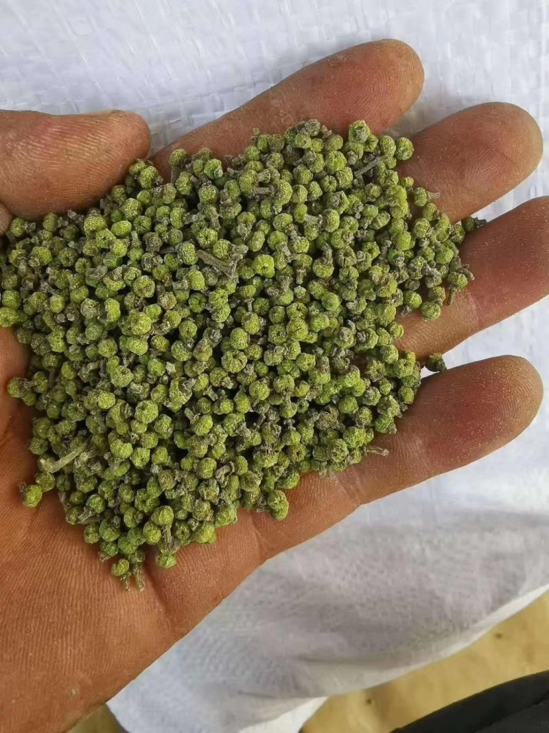 吴茱萸茱萸茶辣中花吴茱萸