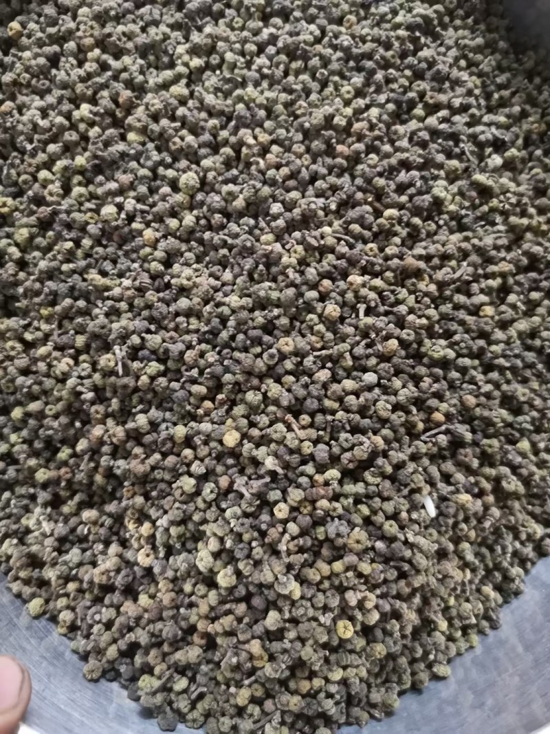 吴茱萸茱萸茶辣中花吴茱萸