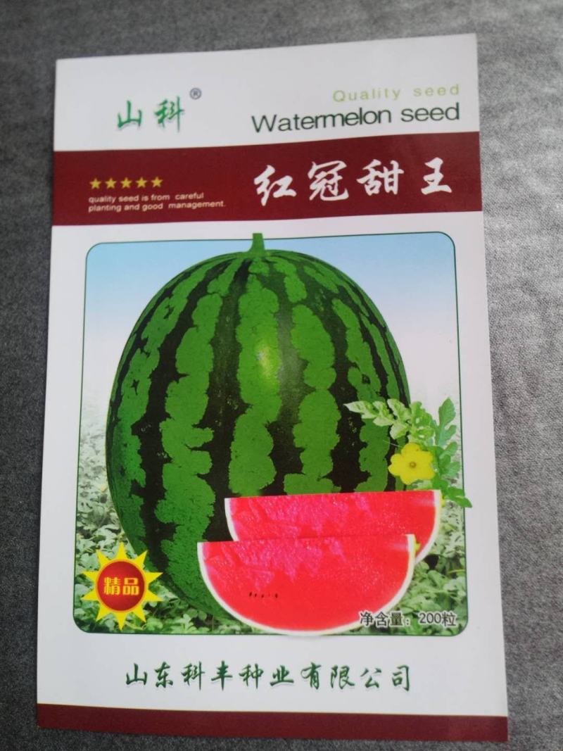 优质西瓜种子甜王美都无籽西瓜产量高口感好