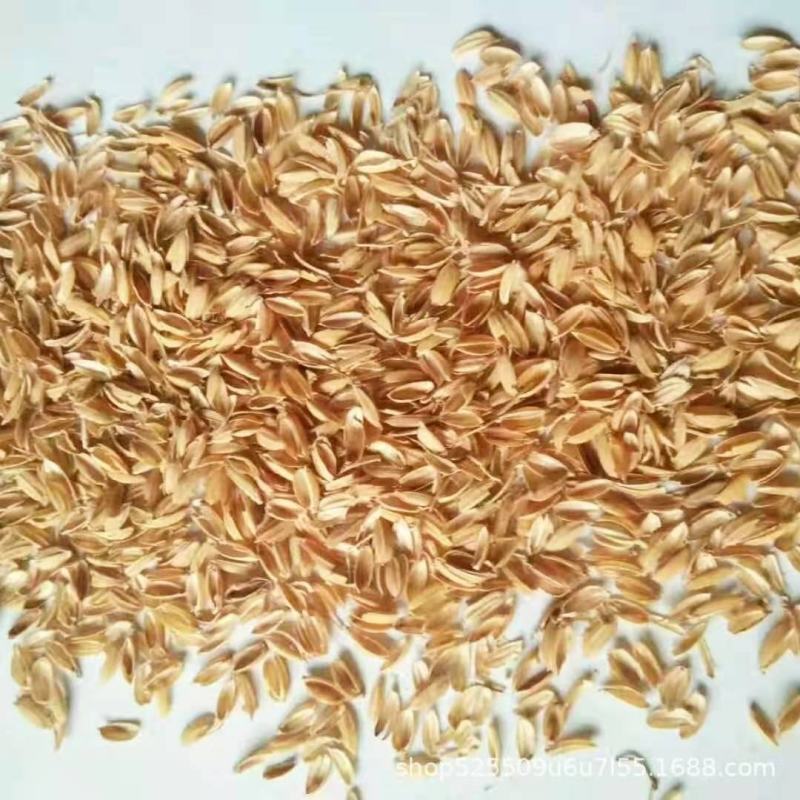 压缩稻壳散装稻壳鸡鸭鹅垫料压块谷壳做酒稻壳