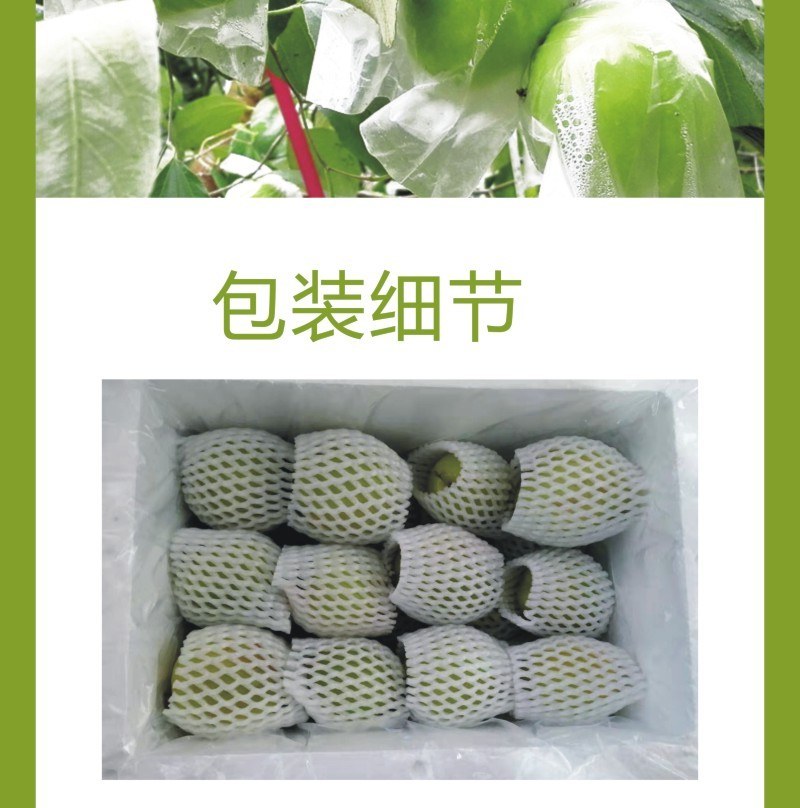 台湾贵妃枣牛奶枣蜜枣大青枣应季新鲜水果批发代发