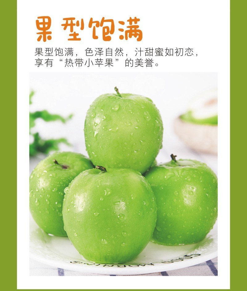 台湾贵妃枣牛奶枣蜜枣大青枣应季新鲜水果批发代发
