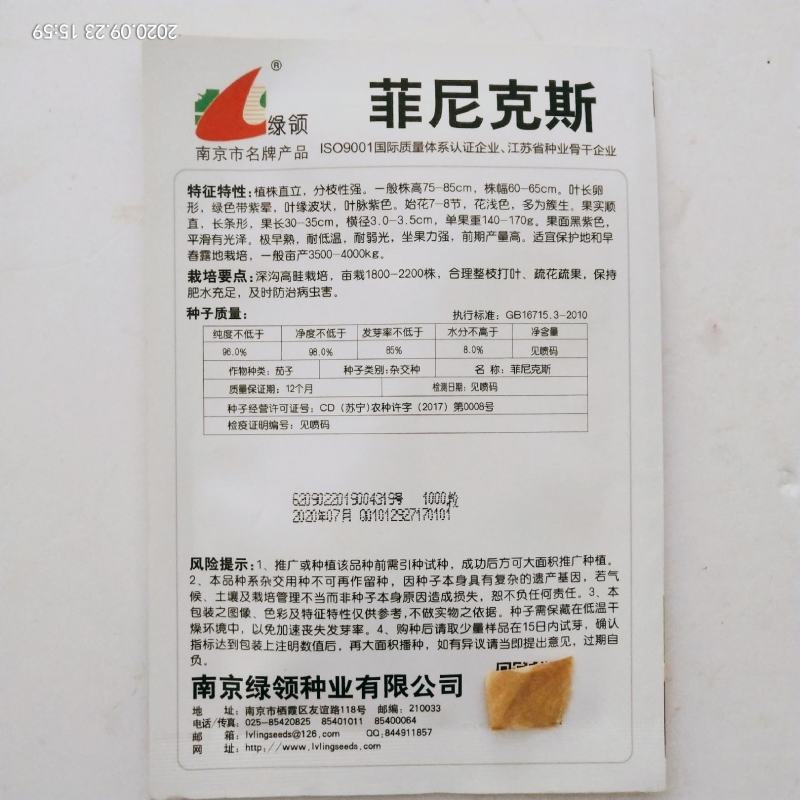 茄种子，早熟品种优胜圆茄，高产杭州红茄种子