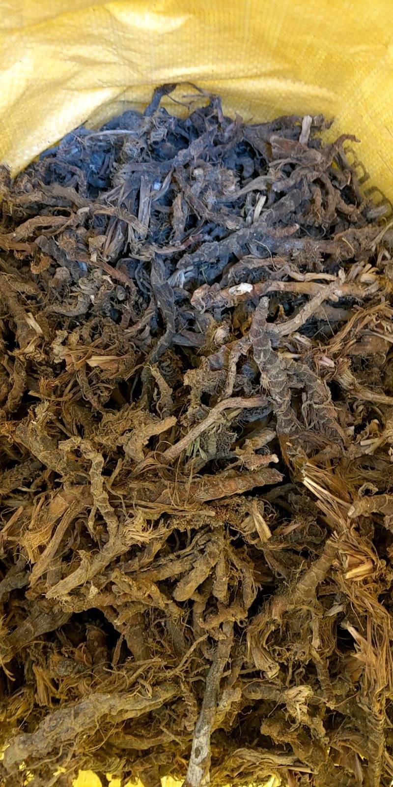 湖南石菖蒲干货去毛根