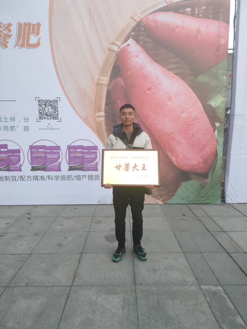 烟薯脱毒种苗，欢迎各位老板光临