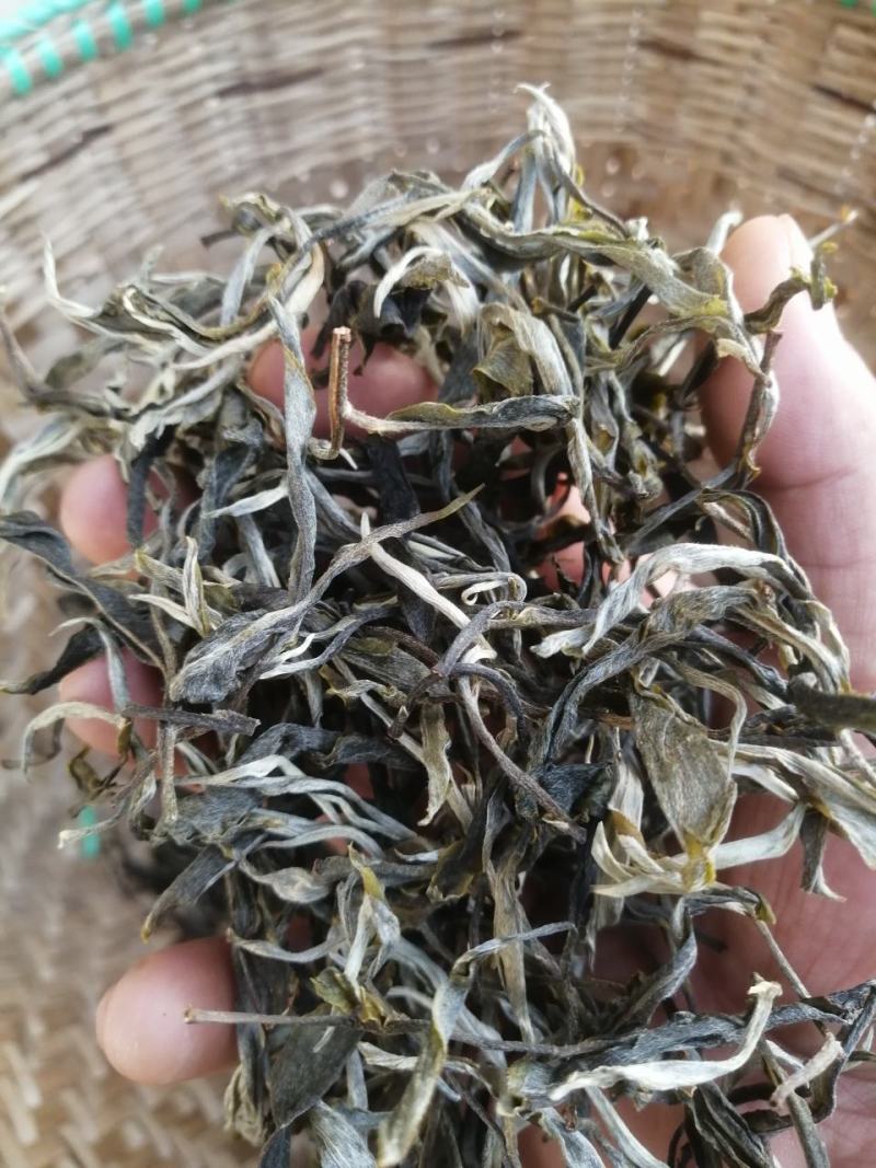 勐海茶布朗山茶区域。山头源产地，撒料生普，茶农直销。