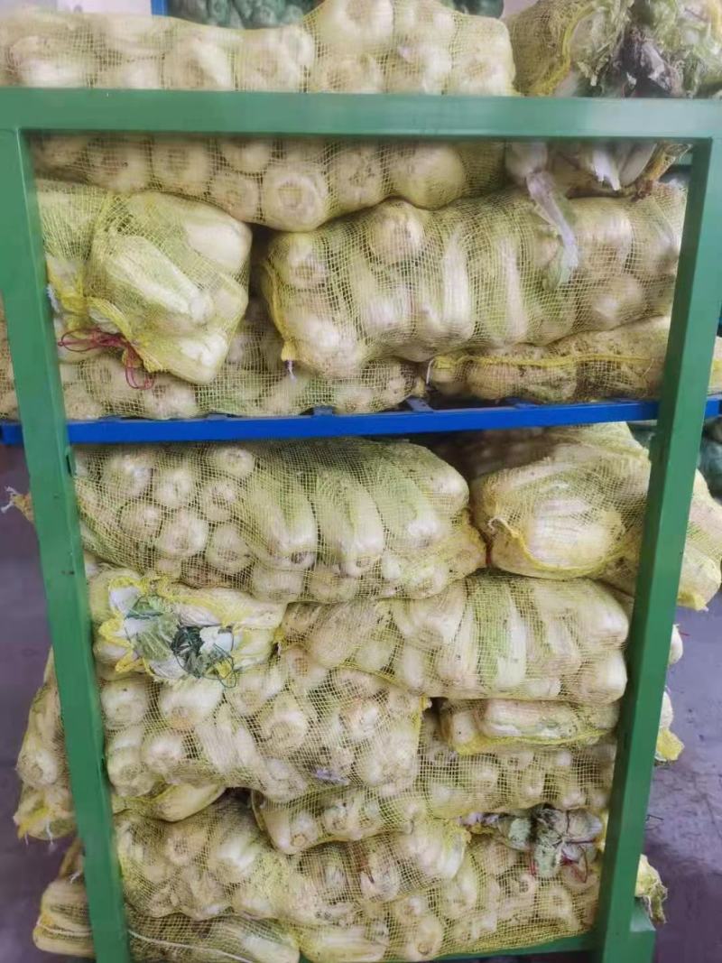 娃娃菜，大娃娃菜，小娃娃菜，叶菜，超市**