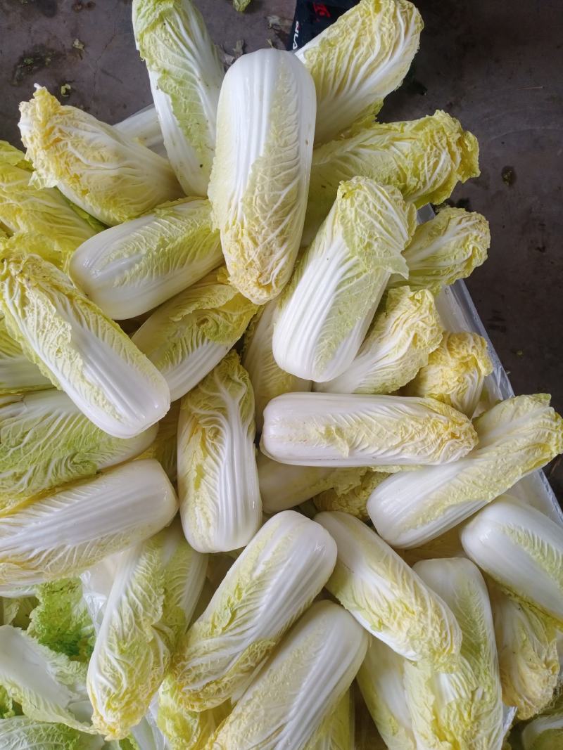 娃娃菜，大娃娃菜，小娃娃菜，叶菜，超市**