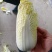 娃娃菜，大娃娃菜，小娃娃菜，叶菜，超市**