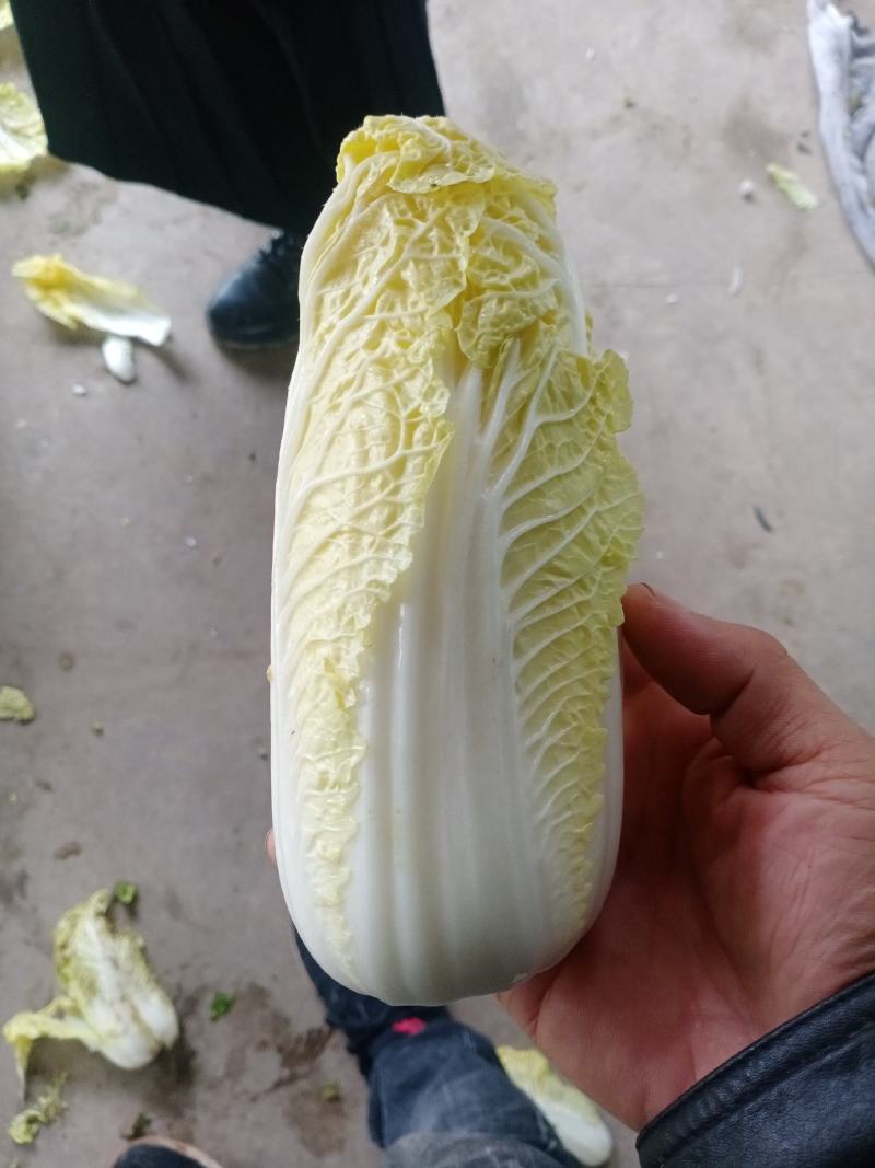 娃娃菜，大娃娃菜，小娃娃菜，叶菜，超市**