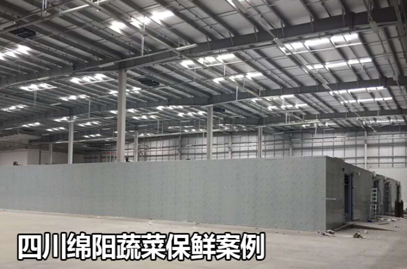 四川大中小型冷冻冷藏冰库保鲜蔬果肉类制冷全套冷库设备