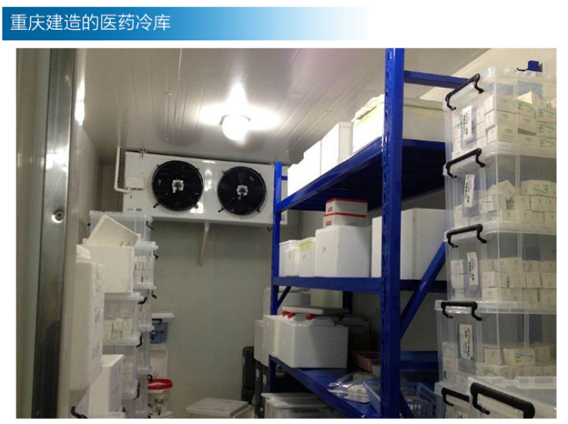 重庆水果蔬菜保鲜冷冻库设备大型小型速冻冷库制冷机组全套设
