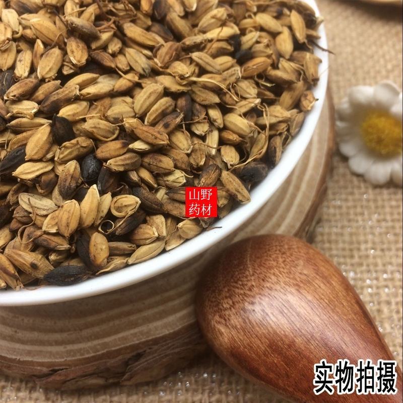 云南中药材炒谷芽炒稻芽500g包邮