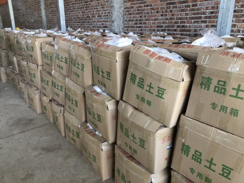 丽薯6号.合作88欢迎来订