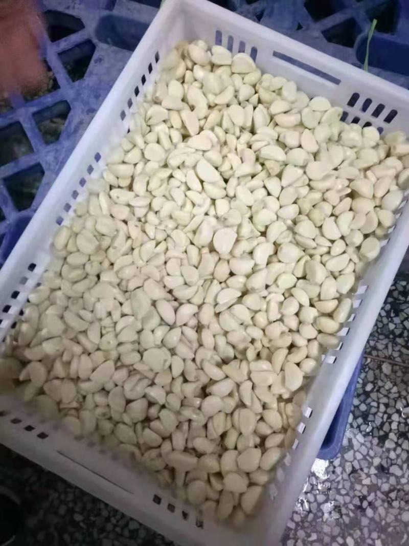 【腌制腊八蒜专用】，蒜米，原厂地直销，规格齐全，物美价廉