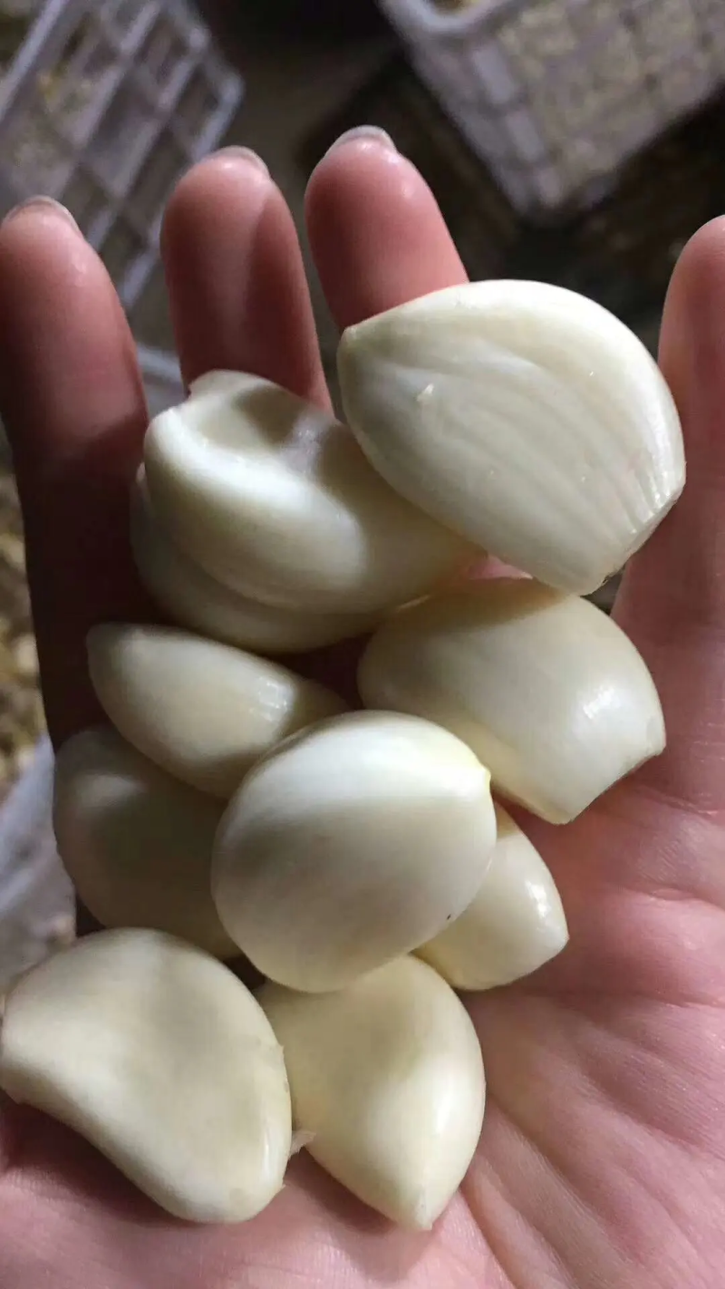 【腌制腊八蒜专用】，蒜米，原厂地直销，规格齐全，物美价廉