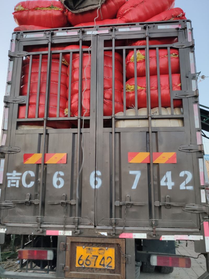 秸秆网袋，玉米秸秆网袋，83*105，85*105等各种
