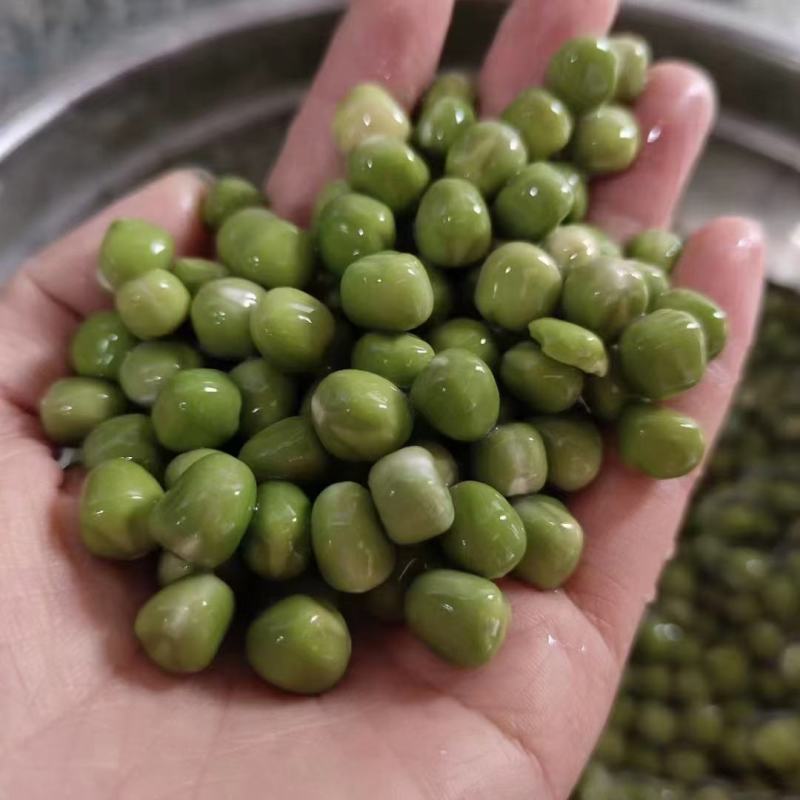 青干碗豆泡发率高颜色绿厂家直销量大从优