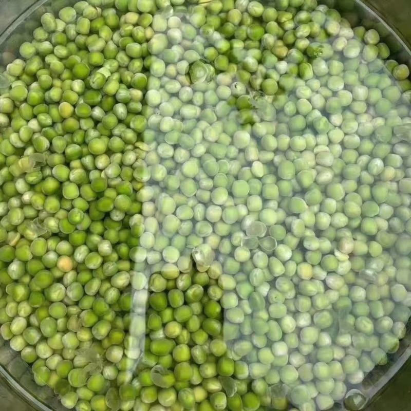 青干碗豆泡发率高颜色绿厂家直销量大从优