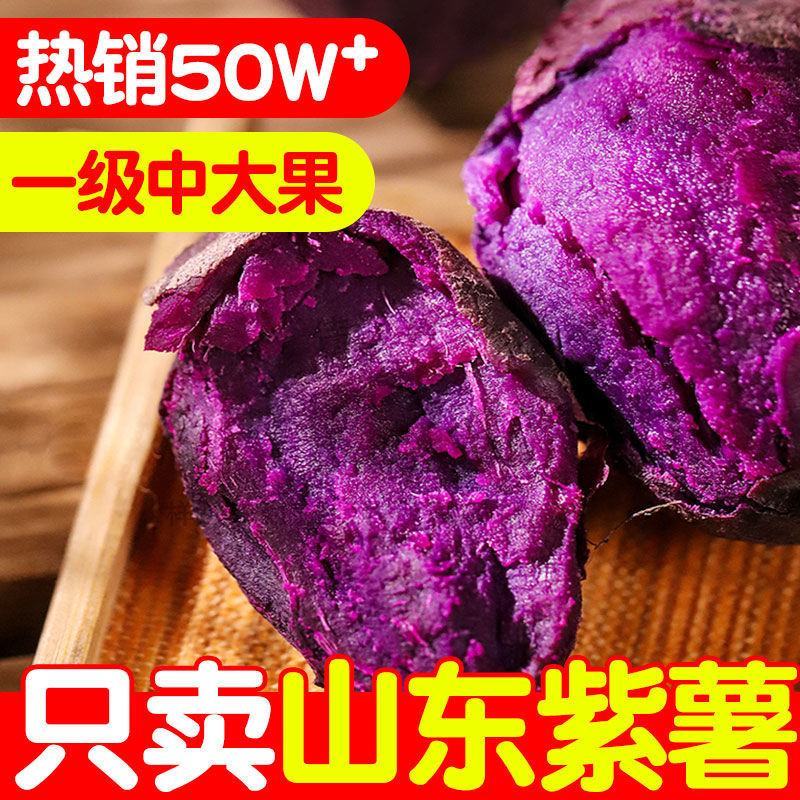 山东紫薯新鲜紫罗兰紫薯5斤9斤板栗紫薯紫心红薯批发