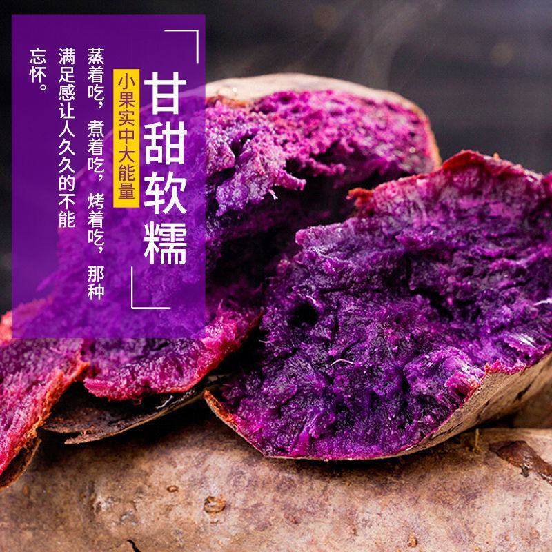 山东紫薯新鲜紫罗兰紫薯5斤9斤板栗紫薯紫心红薯批发