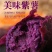 山东紫薯新鲜紫罗兰紫薯5斤9斤板栗紫薯紫心红薯批发