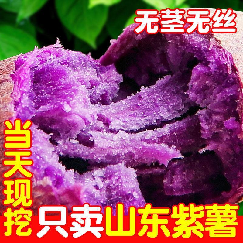 山东紫薯新鲜紫罗兰紫薯5斤9斤板栗紫薯紫心红薯批发