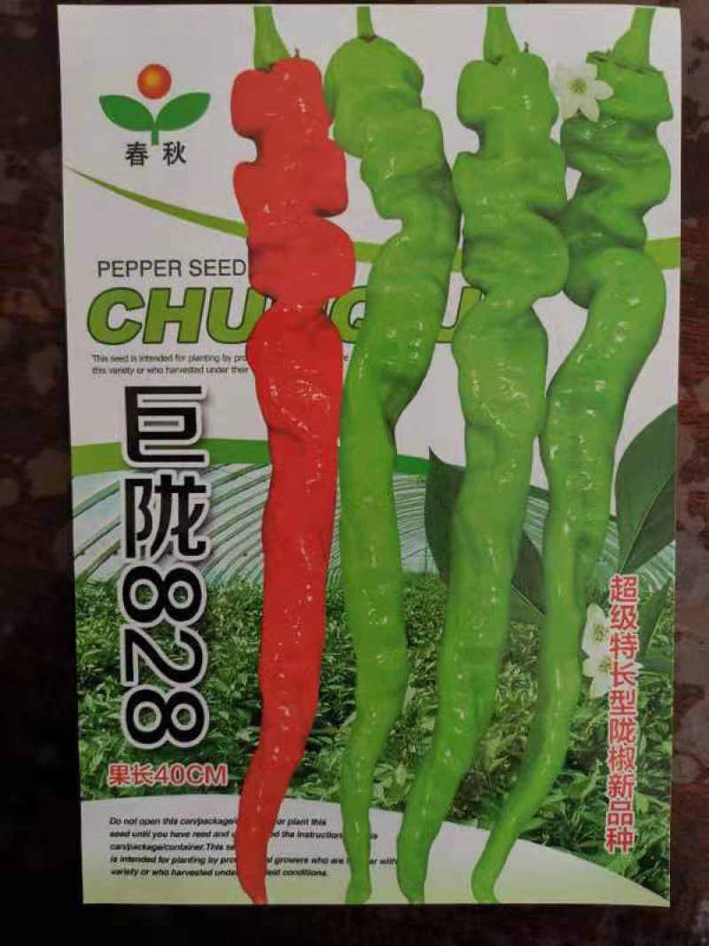 【精品】江苏种子螺丝椒种子大田播种四季高产巨陇828