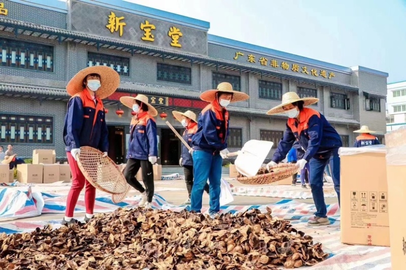 新宝堂新会陈皮正品保证陈皮干泡茶老陈皮厂价批发量大价优
