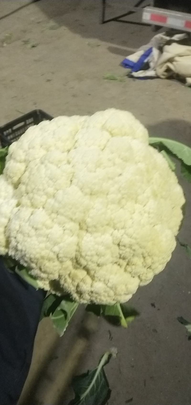 山东万亩有机蔬菜基地有机散花大量上市，质优价廉一条龙服务