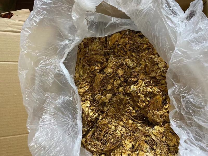 2021新货茶树菇一件40斤价格美丽下单秒发