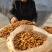 毛桃种子桃芽量大从优