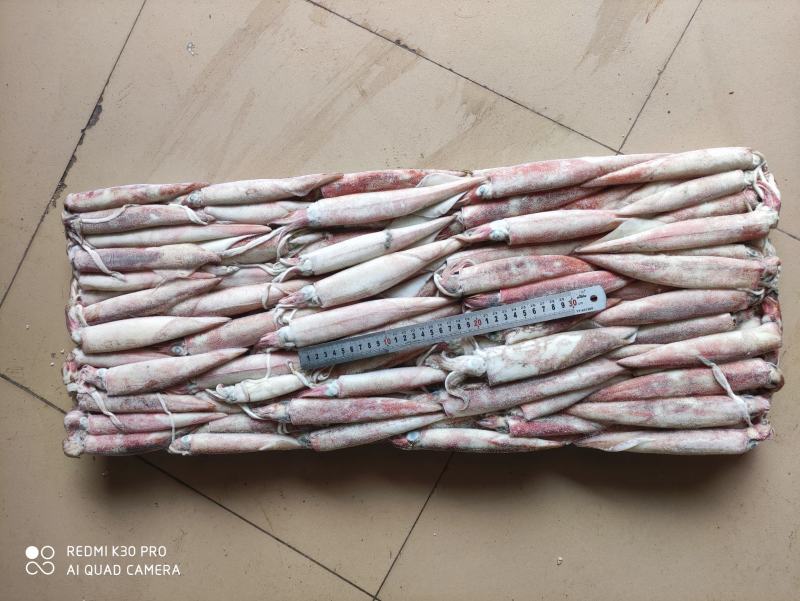 鱿鱼8888888888