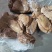 八分熟牛肉，现货供应