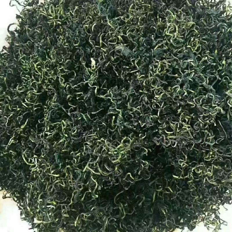 蒲公英沂蒙山蒲公英干净无杂质一手货源基地直销
