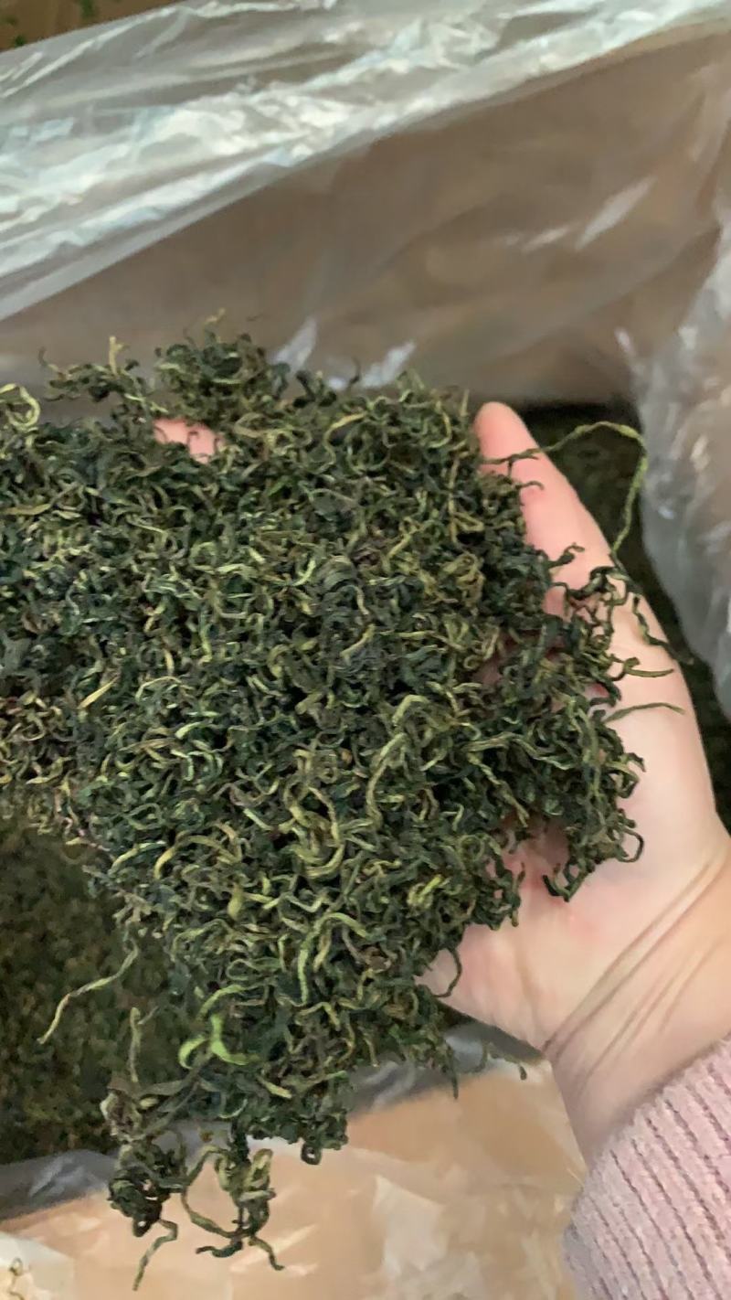 蒲公英沂蒙山蒲公英干净无杂质一手货源基地直销