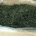 蒲公英沂蒙山蒲公英干净无杂质一手货源基地直销