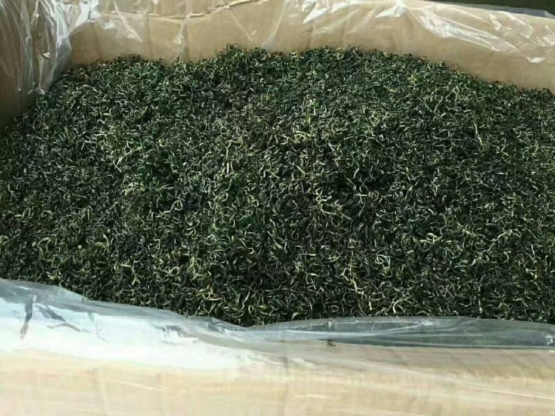 蒲公英沂蒙山蒲公英干净无杂质一手货源基地直销