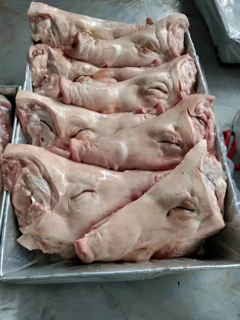 猪副产品，一手货源！