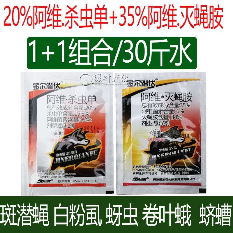 斑潜蝇金尔潜伏灭蝇胺灭蝇安潜叶蛾地图虫鬼画符美洲斑潜