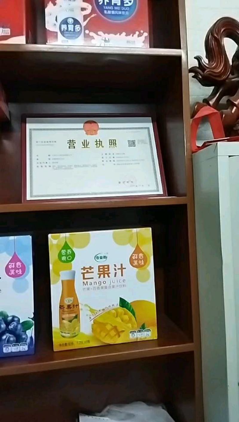 乳酸菌丶酸奶丶果汁系列风味饮品厂家直销，量大价优