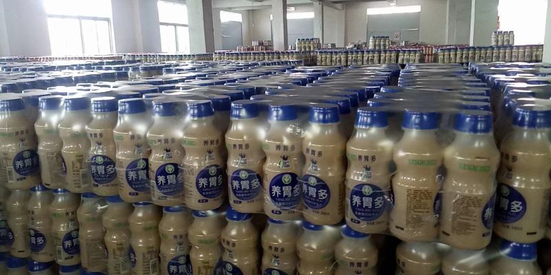 乳酸菌丶酸奶丶果汁系列风味饮品厂家直销，量大价优