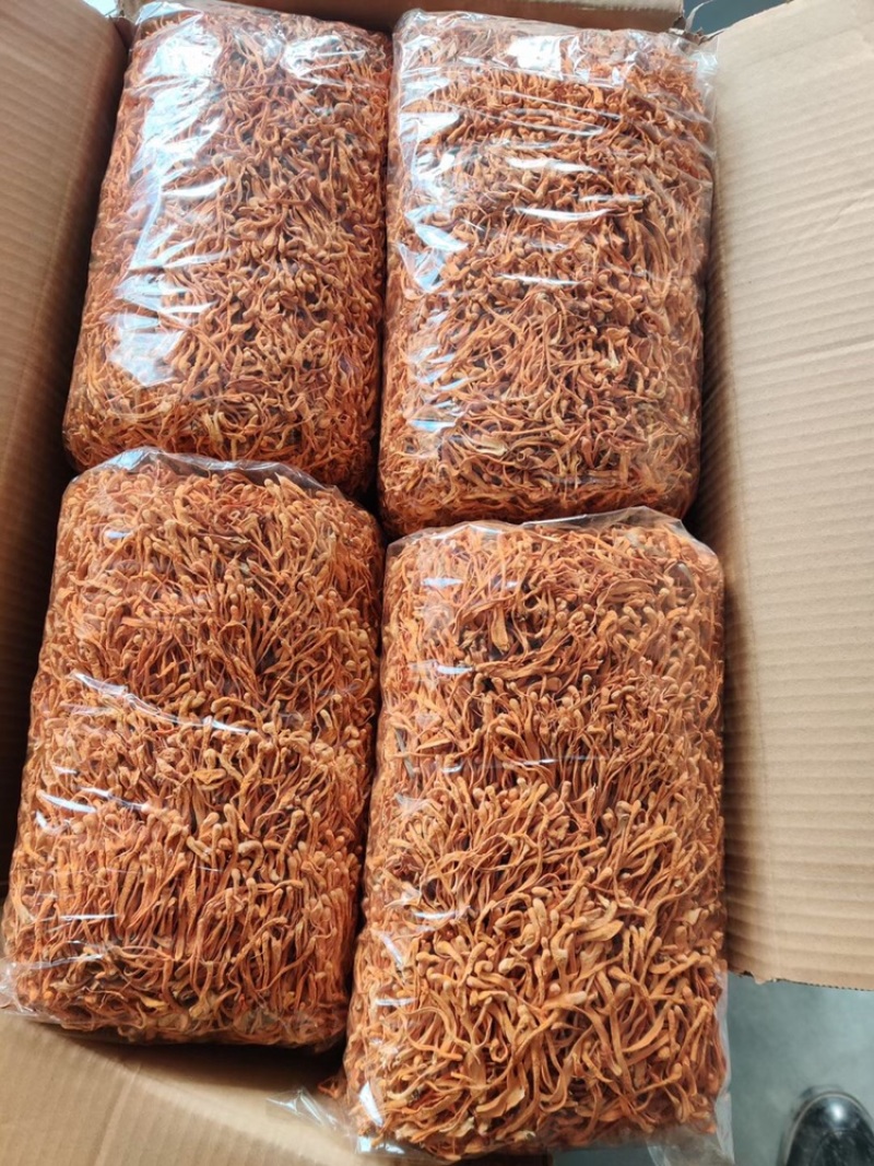 【有新货】虫草花干货原产地直营店批发500g金虫草北虫草