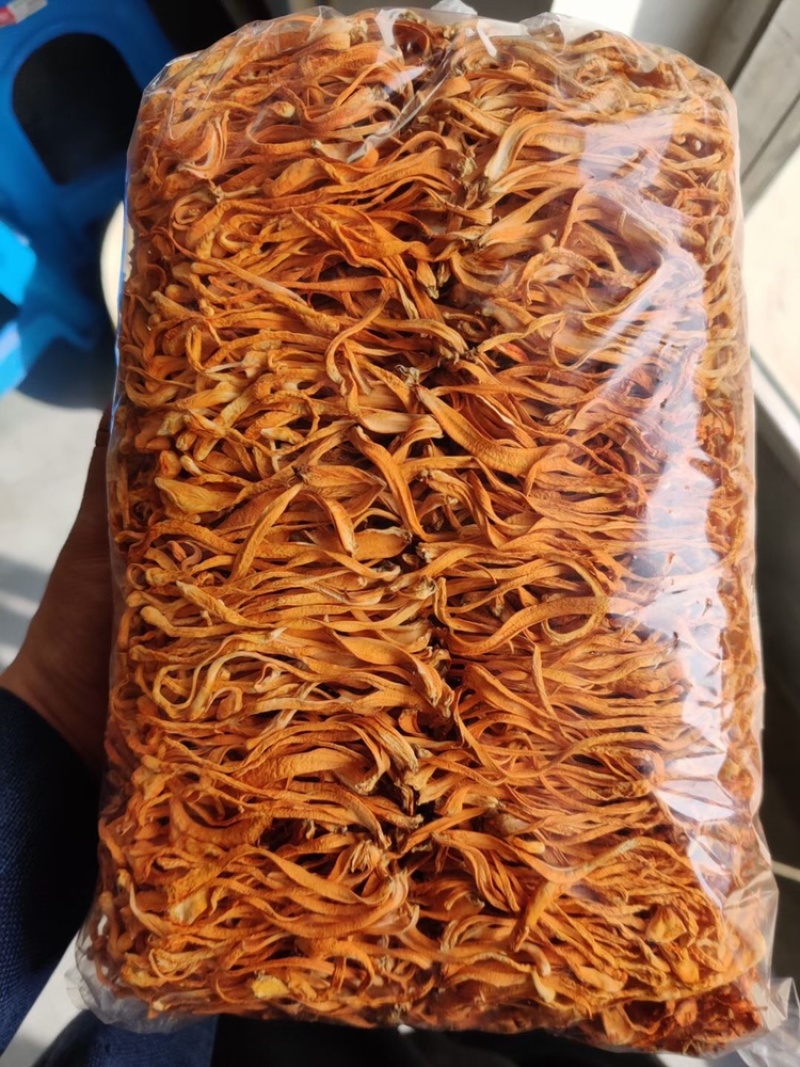 【有新货】虫草花干货原产地直营店批发500g金虫草北虫草