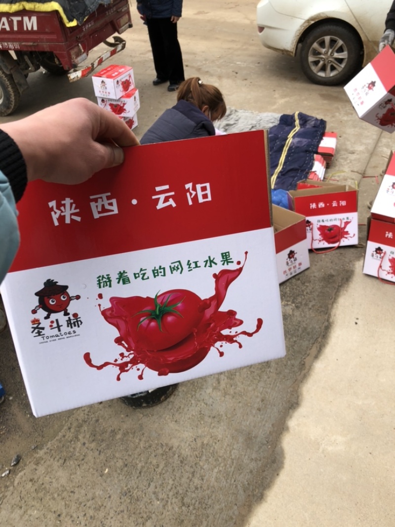 普罗旺斯，粉红沙糖西红柿，东西正经