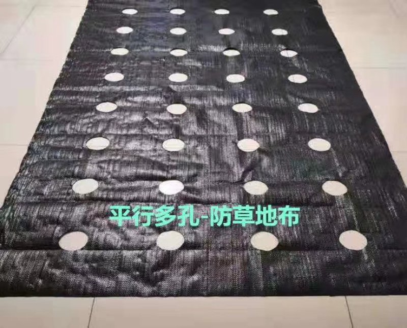 防草布果园专用切片打孔单张防草布，抗氧化防草布