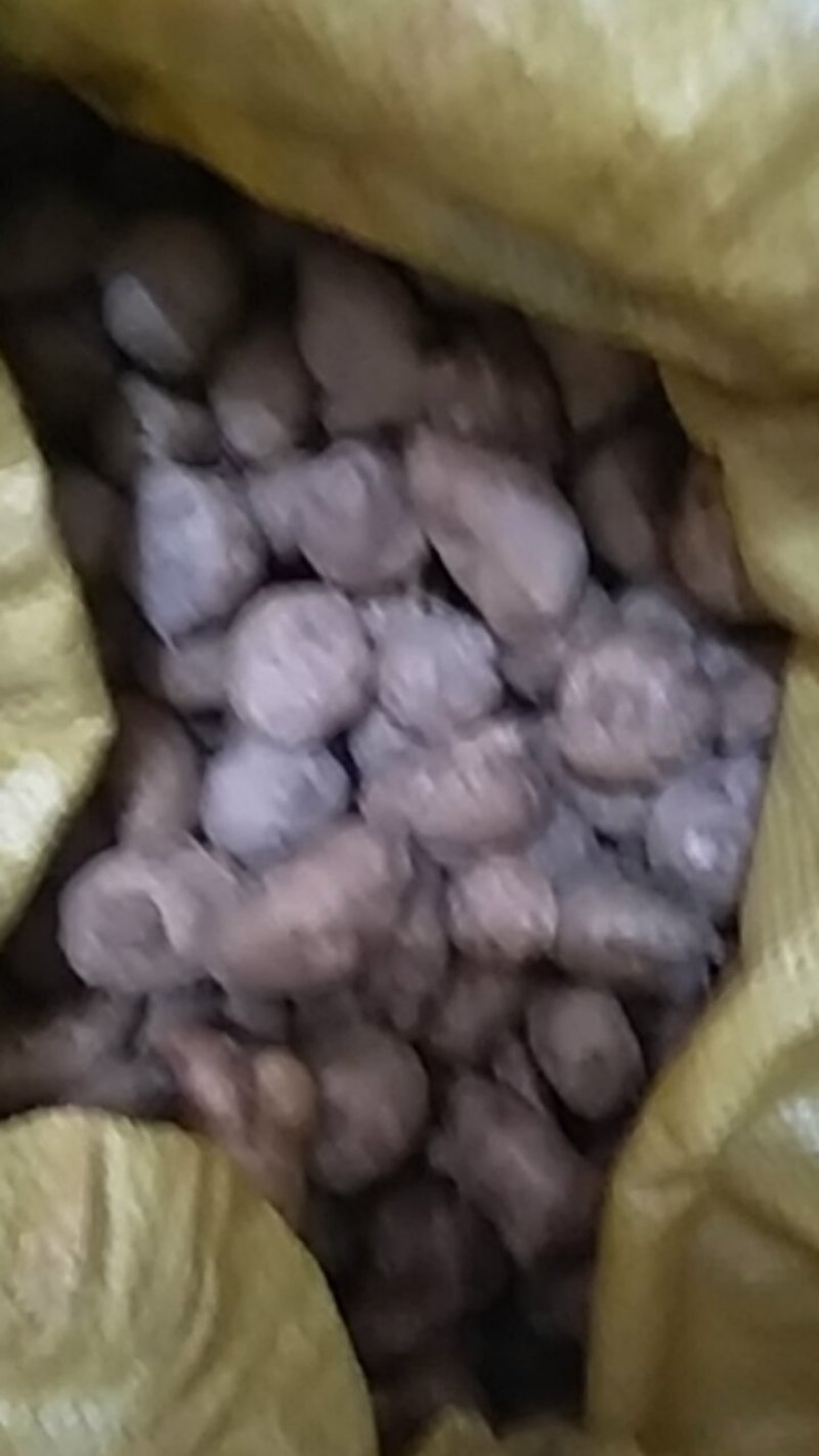 沙姜袋装，货靓价格便宜，有要货就联系我，直通批发市场，