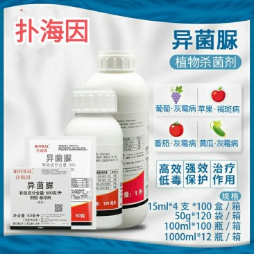 富美实扑海因异菌脲葡萄灰霉病斑点病早疫病农药杀菌剂